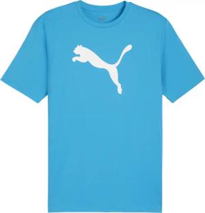 PUMA T-Shirt PUMA teamRISE Logo Trainingsshirt