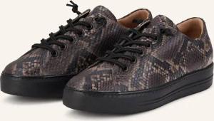 paul green Sneaker BOA SAFARI