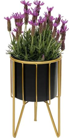 DanDiBo Blumenhocker mit Topf Metall Gold