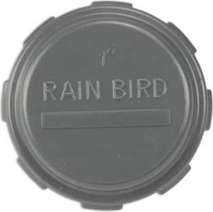 Rain Bird Gewindefitting Rain Bird PVC
