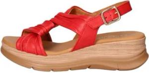 Paula Urban Sandalen 24-776 Sandelholz Frau