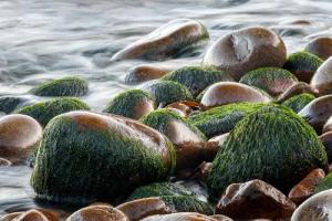 Papermoon Fototapete "Steine im Wasser"