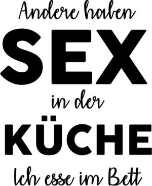 queence Wanddekoobjekt "Andere haben Sex in der ...", Stahlschild, Blechschild, Spruch, Witzig, Wanddeko, retro, 20x30cm
