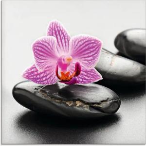 Artland Glasbild "Spa-Konzept mit Zen Steinen und Orchidee", Zen, (1 St.), in verschiedenen Größen