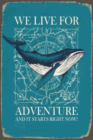 queence Metallbild "Adventure", (1 St.), Stahlschild, Blechschild, Sprüche, Texte, Wal
