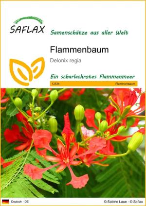 SAFLAX Blumensamen SAFLAX - Samen -
