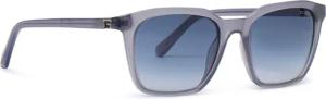 Guess Sonnenbrillen GU00170 Dunkelblau