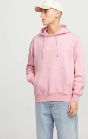 Jack & Jones Kapuzensweatshirt JORVESTERBRO SWEAT