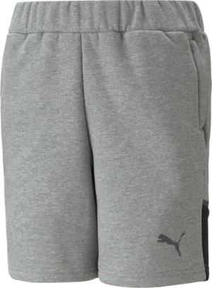 PUMA Trainingsshorts Puma Kinder Short teamCUP