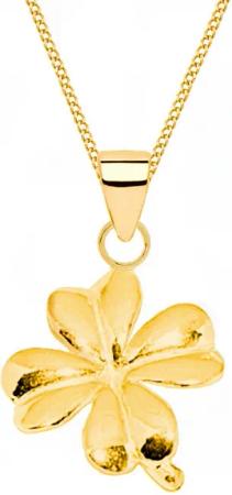Goldene Hufeisen Kette mit Anhänger Halskette