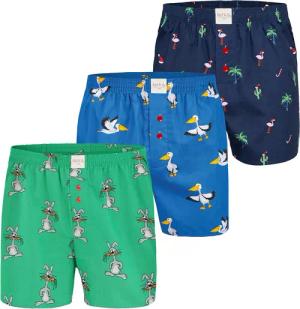 Phil & Co. Boxer FUN Motives