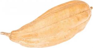 NaDeco Bastelnaturmaterial Schwammgurke Natur Länge ca.8-15 cm,