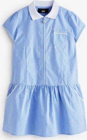 Next Karokleid Kleid mit Vichykaros und