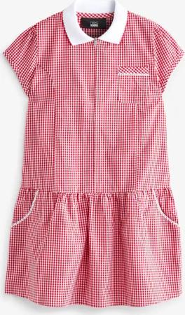 Next Karokleid Kleid mit Vichykaros und