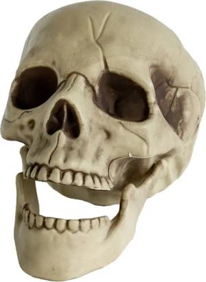 Horror-Shop Dekoobjekt Totenkopf mit beweglichem Kiefer