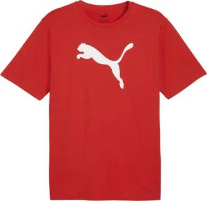 PUMA T-Shirt PUMA teamRISE Logo Trainingsshirt