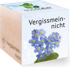 Feel Green Blumenerde Ecocube Vergissmeinnicht von