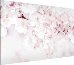 Bilderdepot24 Magnettafel Küche rosa Ein Kirschblütenhauch,