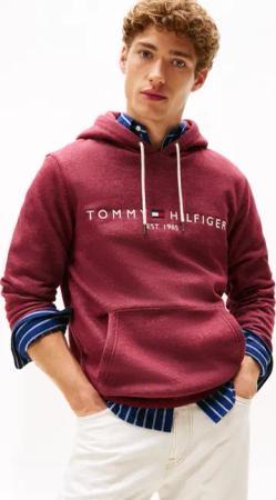 Tommy Hilfiger Kapuzensweatshirt TOMMY LOGO HOODY