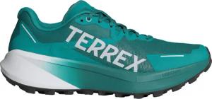 adidas Terrex Herren Agravic 3 Schuhe