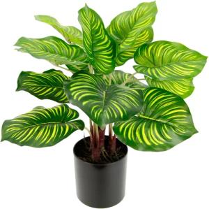 Künstliche Zimmerpflanze Maranthus, I.GE.A., Höhe 40