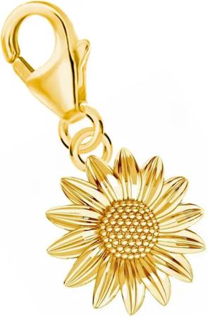 Goldene Hufeisen Charm Blume Sonnenbume Karabiner