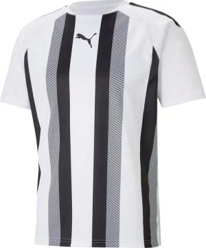 PUMA Fußballtrikot PUMA teamLIGA Striped Trikot