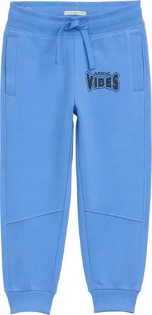 TOM TAILOR Jungen Jogginghose mit Print, blau, Uni, Gr. 128/134