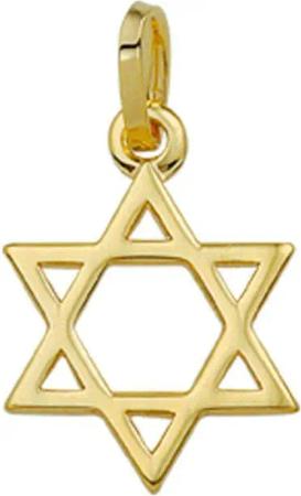 NICEANDnoble Kettenanhänger 585er-Gold 14 kt. Anhänger