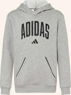 adidas Hoodie SEASONALS ESSENTIALS COLLEGIATE TYPOGRAPHY