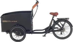 DOTMALL E-Bike Lastenrad Aitour Cargo Bike