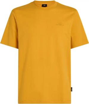 O'Neill T-Shirt Small Logo T-Shirt mit