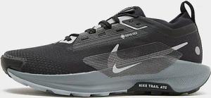 Nike Pegasus Trail 5 GORE-TEX - Herren, Schwarz