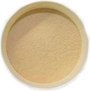 BORMA Spachtelmasse Holzkitt Pulver 1Kg Eiche