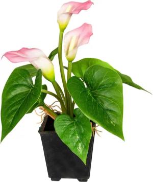 Kunstpflanze Mini-Calla 3 Blüten im Kunststofftopf