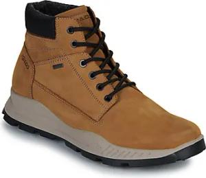 IgI&CO Herrenstiefel U.ELOY GTX