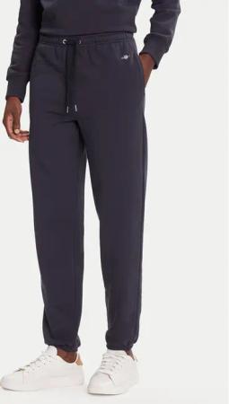 Gant Jogginghose Shield 4200500 Dunkelblau Regular Fit