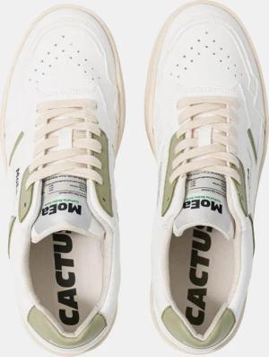 MoEa GEN1 - CACTUS WHITE & ALOE