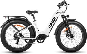 DOTMALL E-Bike Cityrad HAOQl Eagle step