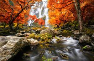 Papermoon Fototapete "WASSERFALL-HERBST WALD BÄUME STEINE FLUSS LANDSCHAFT"
