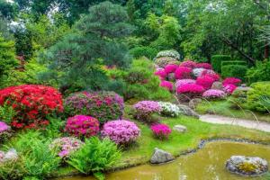 Papermoon Fototapete "GARTEN-BLUMEN BÄUME PFLANZEN STEINE WALD PARK BLÜTEN"