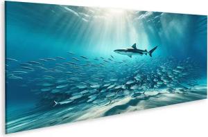 islandburner Leinwandbild Stille Unterwasserwelt: Hai umgeben