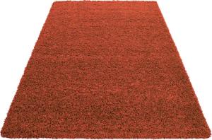 Stilvoll Günstig Hochflor-Teppich Teppich für den