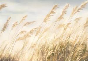 Wallarena Fototapete Wildes Gras Natur Gelb
