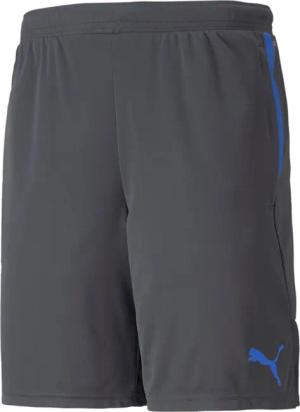 PUMA Trainingsshorts Puma Herren Shorts individualCUP
