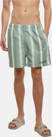 Karl Kani Retro Gradient Stripes Board Short