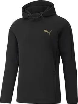 Puma  Sweatshirt Evostripe Hoodie