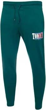 Tommy Hilfiger  Hosen DM0DM15031L6O