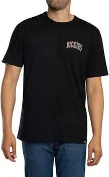 Dickies T-Shirt Aitkin Brust-T-Shirt