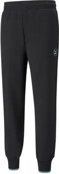 Puma Hosen Swxp